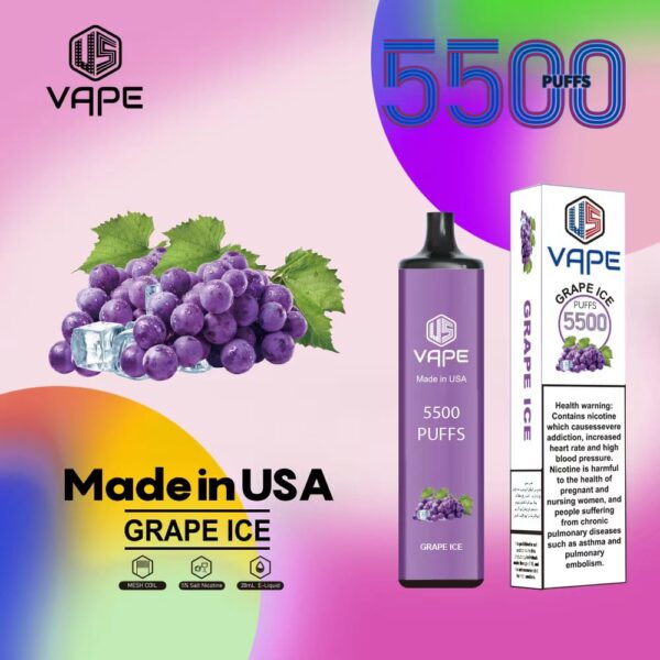 US DISPOSABLE VAPE 5500PUFFS