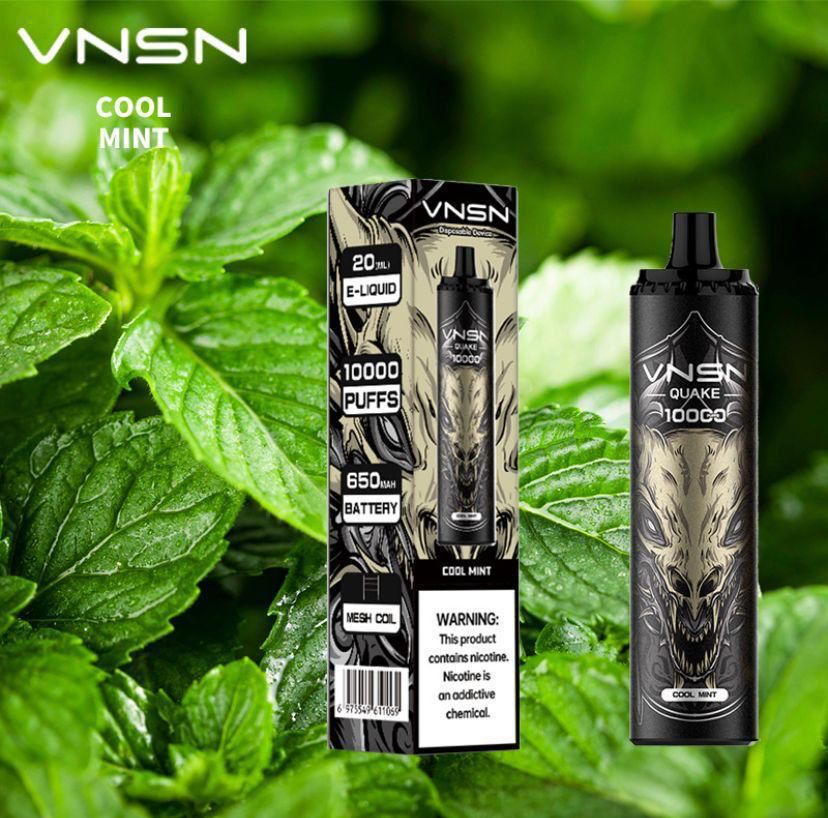 VNSN Disposable Vape 10000 Puffs in UAE